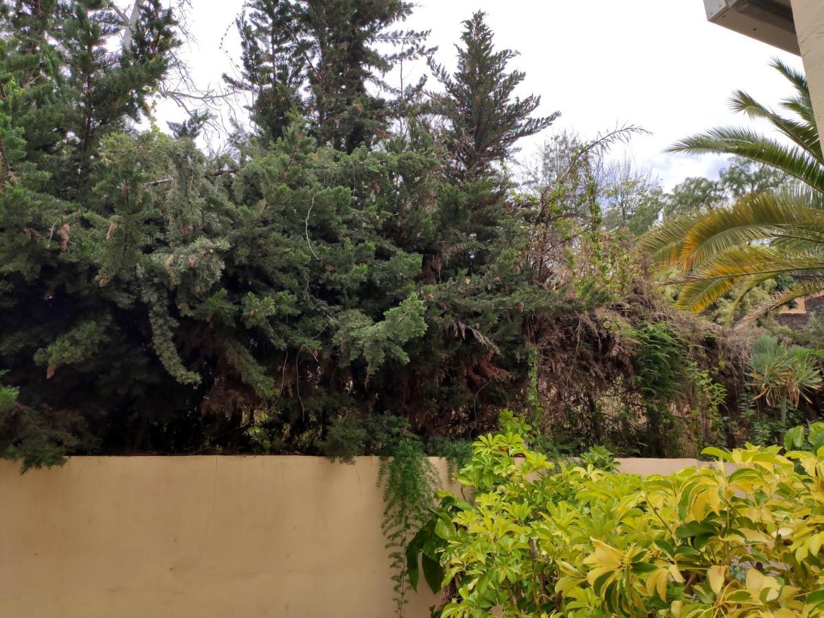 Dos Habitaciones & Prkn & Piscina Climatizada & Jardin - Casa Winslo プエルト・デ・ラ・クルス エクステリア 写真